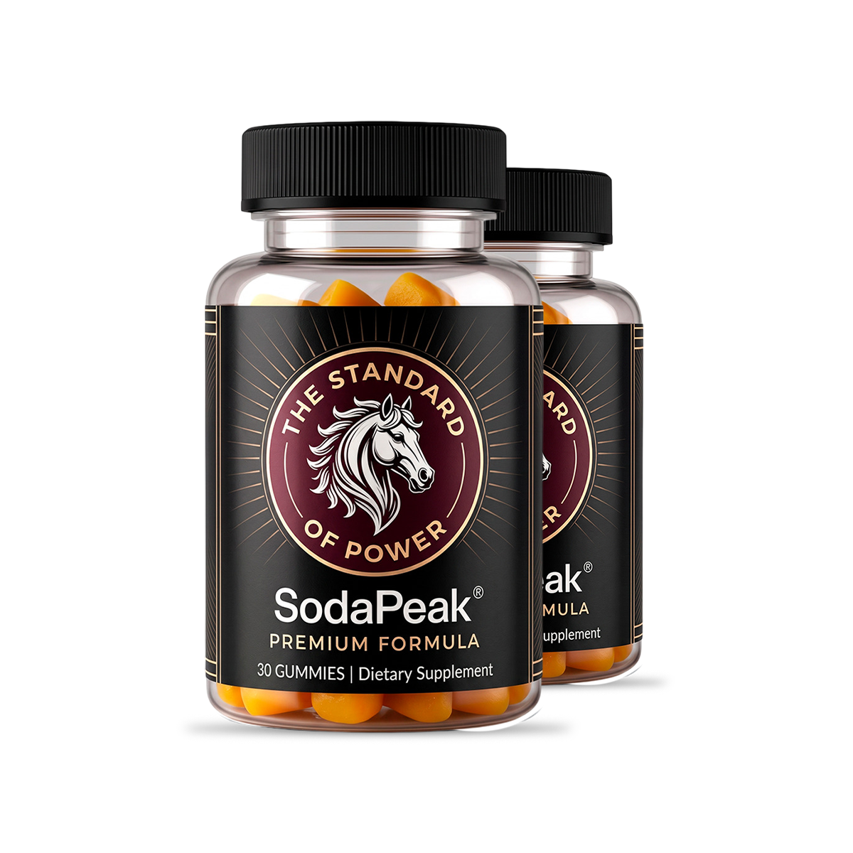 SodaPeak 2 bottle pack